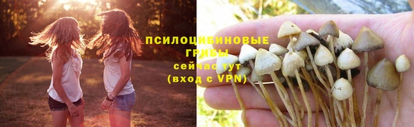 метадон Балахна
