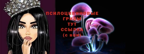 мдпв Балабаново