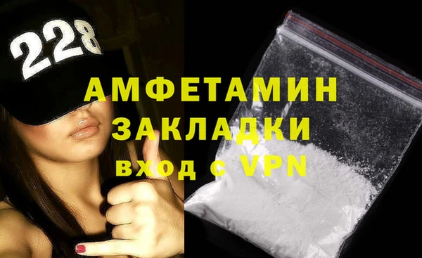 молекула духа Ладушкин