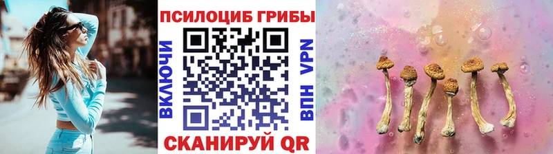 купить закладку Буйнакск мега Псилоцибиновые грибы GOLDEN TEACHER